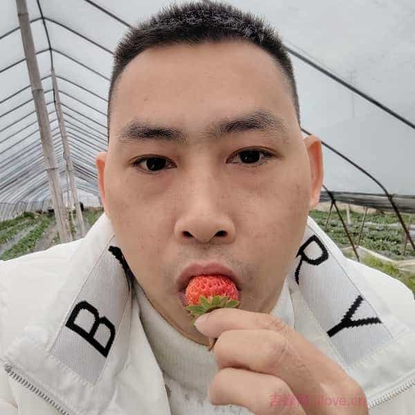 嘉宾照片