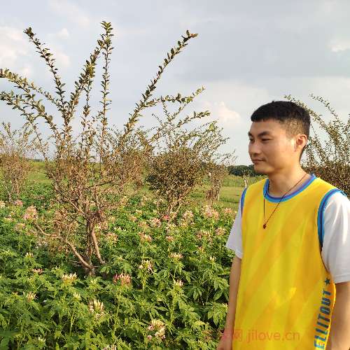 37岁岁广东单身帅哥 - 滨州吉缘网